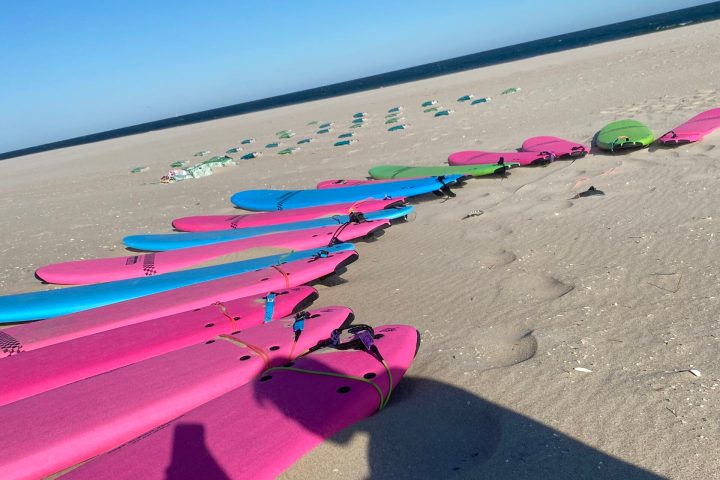 a group of people on a beach